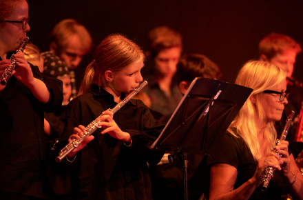 Roskilde Kulturskole instrumenter